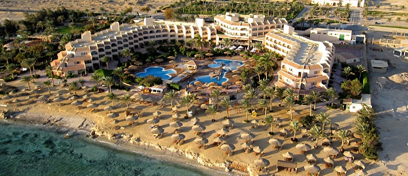 Golden Tulip Flamenco